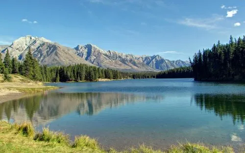 先进稳定性绿色